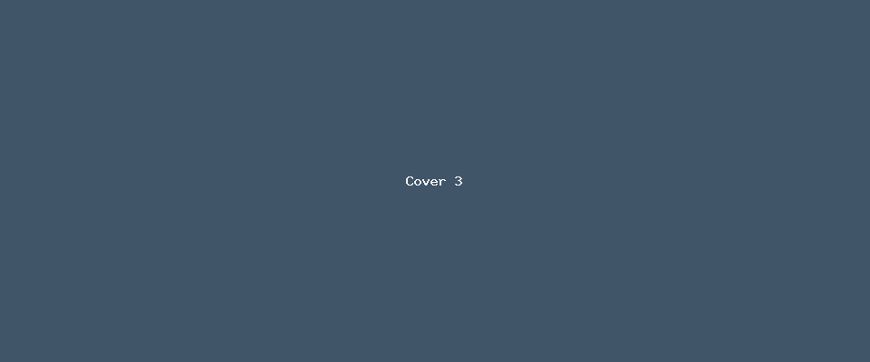 Retail Stores Co. — Seed 3 cover