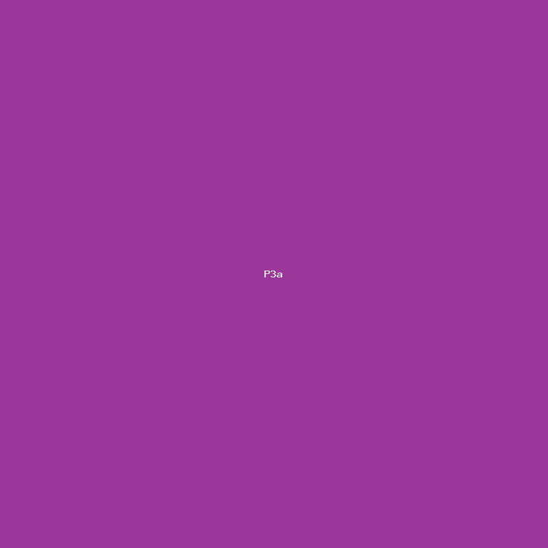 Apparel (from Retail Stores Co. — Seed 3) — 3
